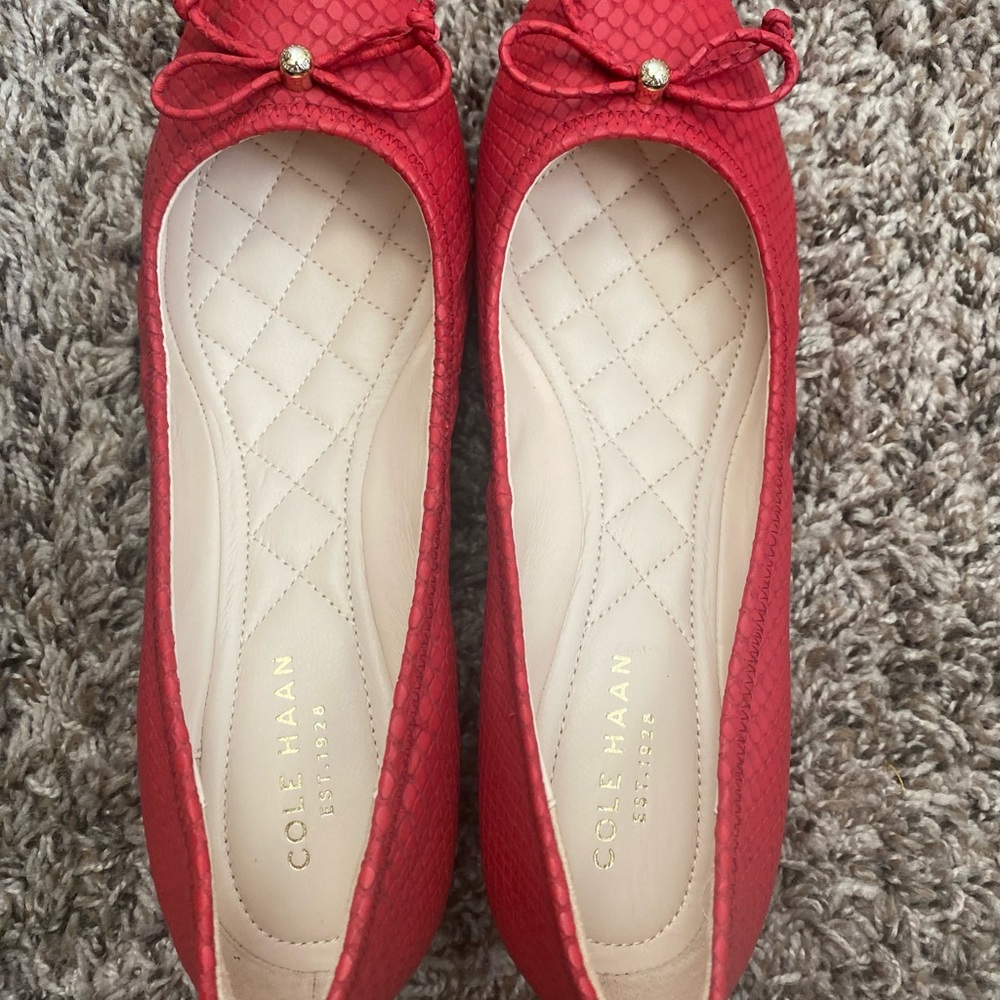 Cole Haan Snake Skin Wedge Shoe